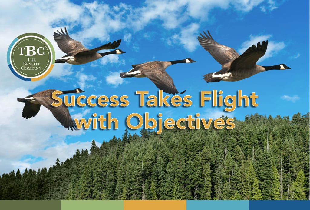 Success takes flight with objectives